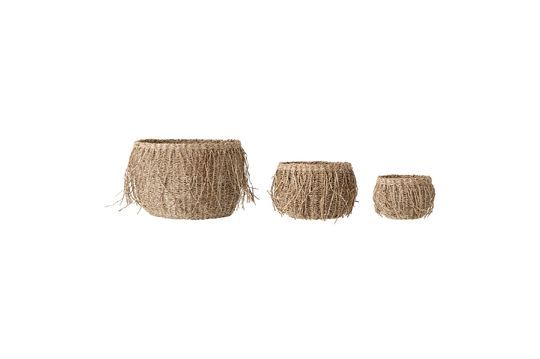 Cesta Bernauil