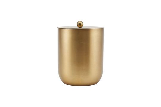 Cubitera de acero inoxidable dorada Alir Clipped