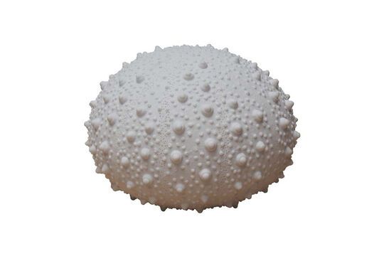 Lámpara de mesa de cerámica blanca Oursin