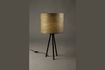 Miniatura Lámpara de mesa Woodland 10