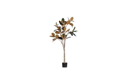 Planta artificial Caucho Clipped