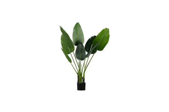 Planta artificial Strelitzia