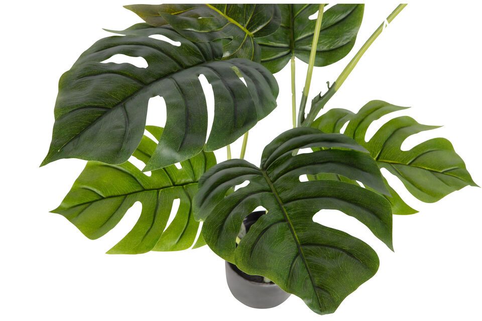 Esta planta verde artificial de polietileno tiene todos los ingredientes de una planta de verdad