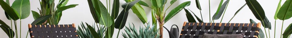 Descriptivo Materiales  Planta artificial verde Strelitzia