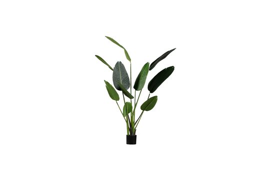 Planta artificial verde Strelitzia