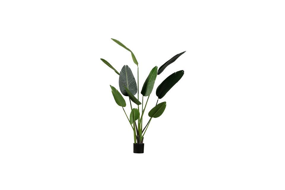 Planta artificial verde Strelitzia Woood