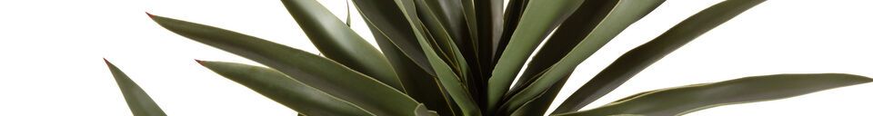 Descriptivo Materiales  Planta artificial verde Yucca