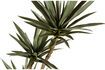 Miniatura Planta artificial verde Yucca 4
