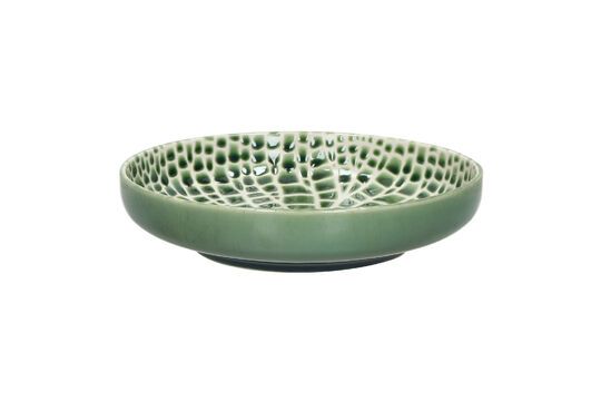 Plato de porcelana verde loto