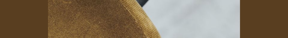 Descriptivo Materiales  Silla de terciopelo Lao